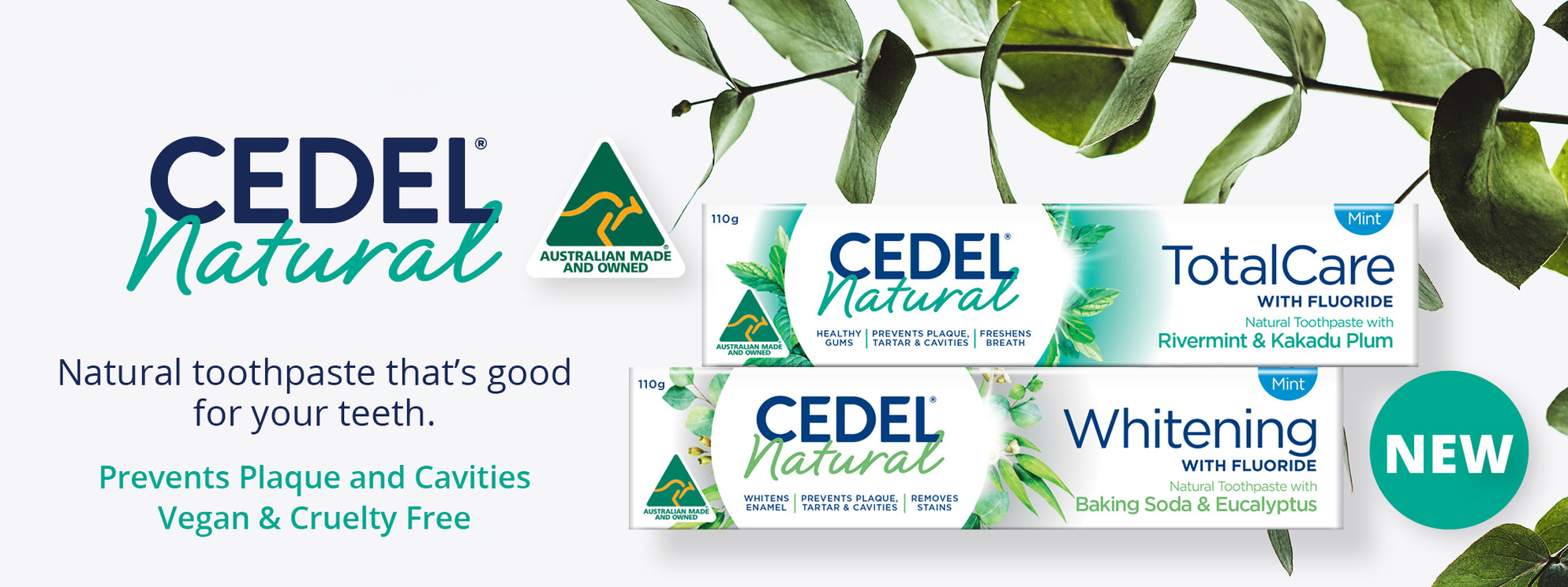 Cedel Australia